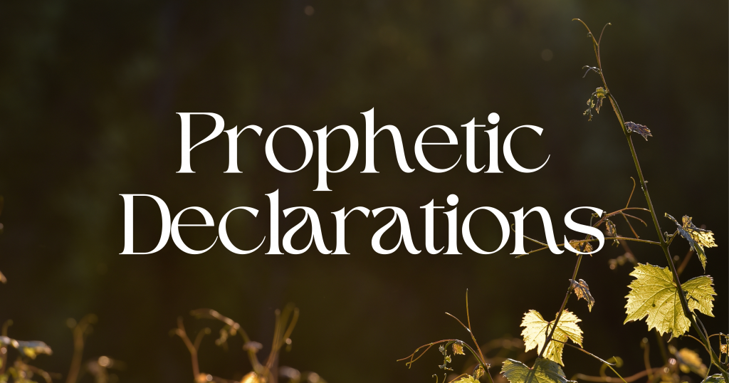 Prophetic Declarations Destiny Ministries International